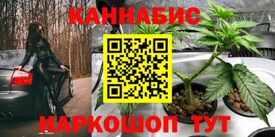 PSILOCYBIN Краснодар