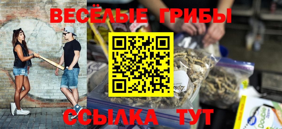 Галлюциногенные грибы MAGIC MUSHROOMS  Вход с VPN  Калининград 